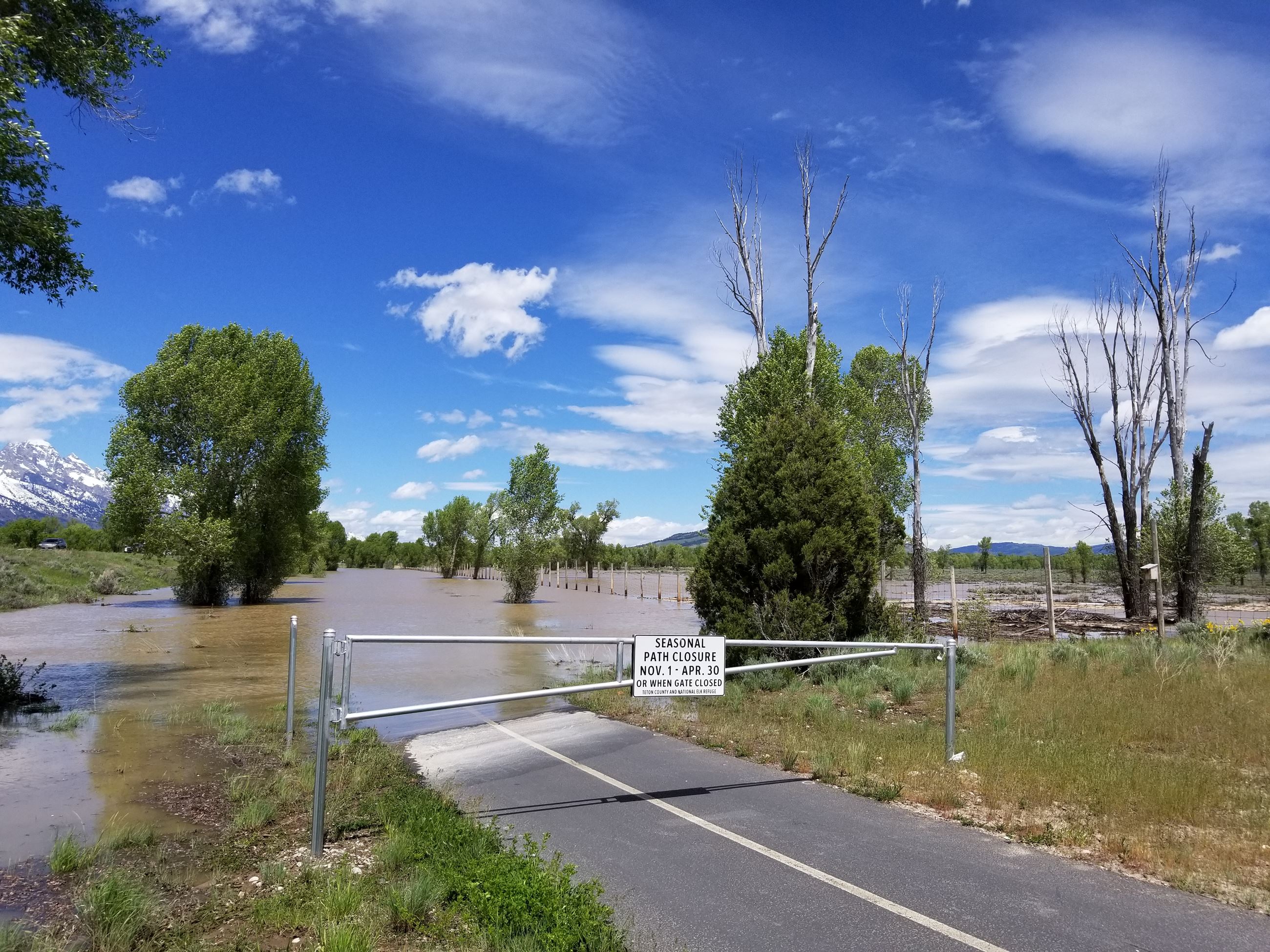 Gros Ventre Flooding Pathway on June 2020