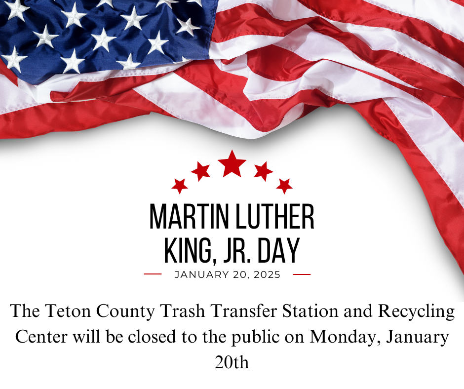 Martin Luther Press Release