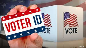 Picture of Voter ID to vote